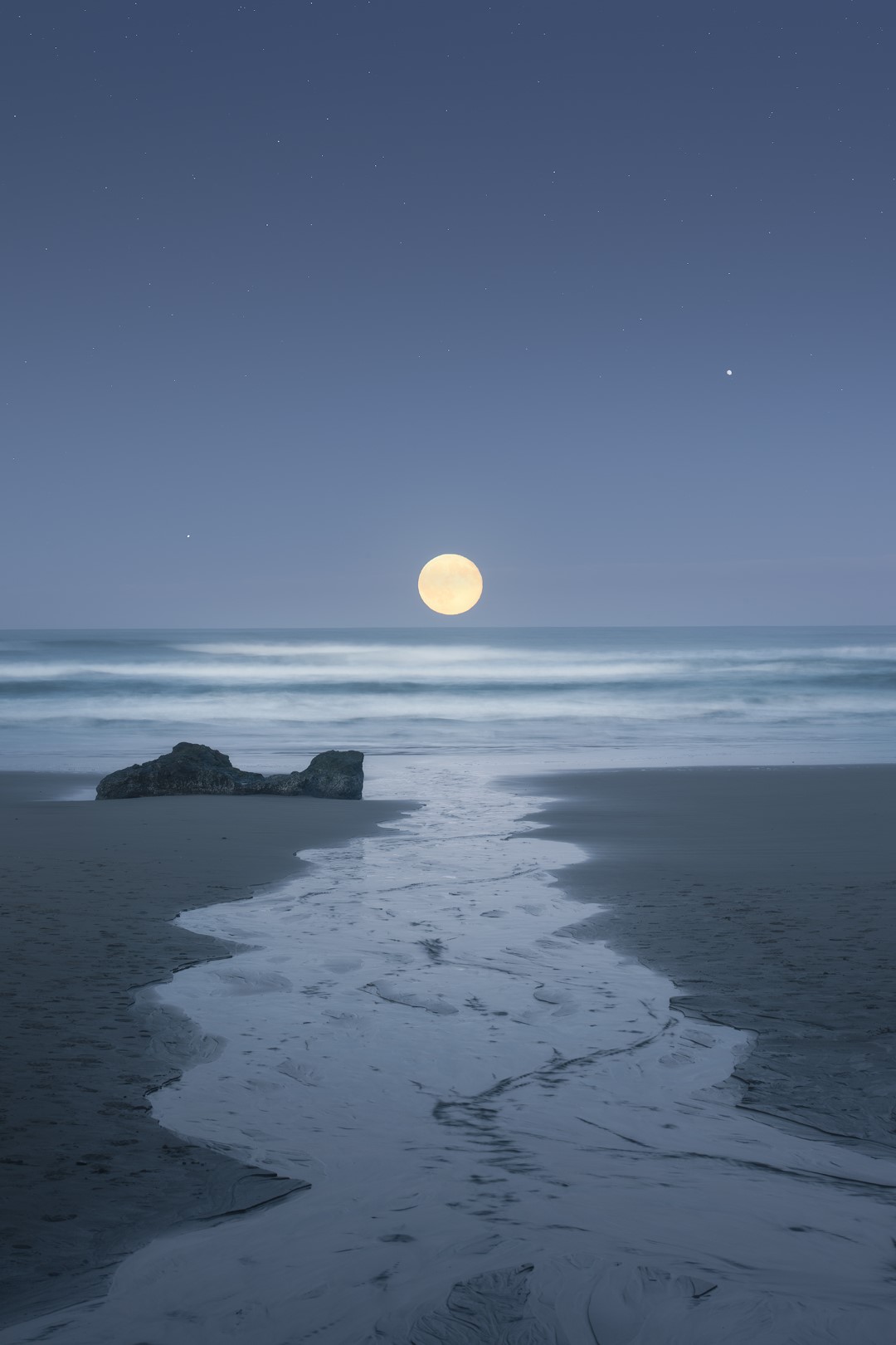 mp0c0tytjdf51 (Large)